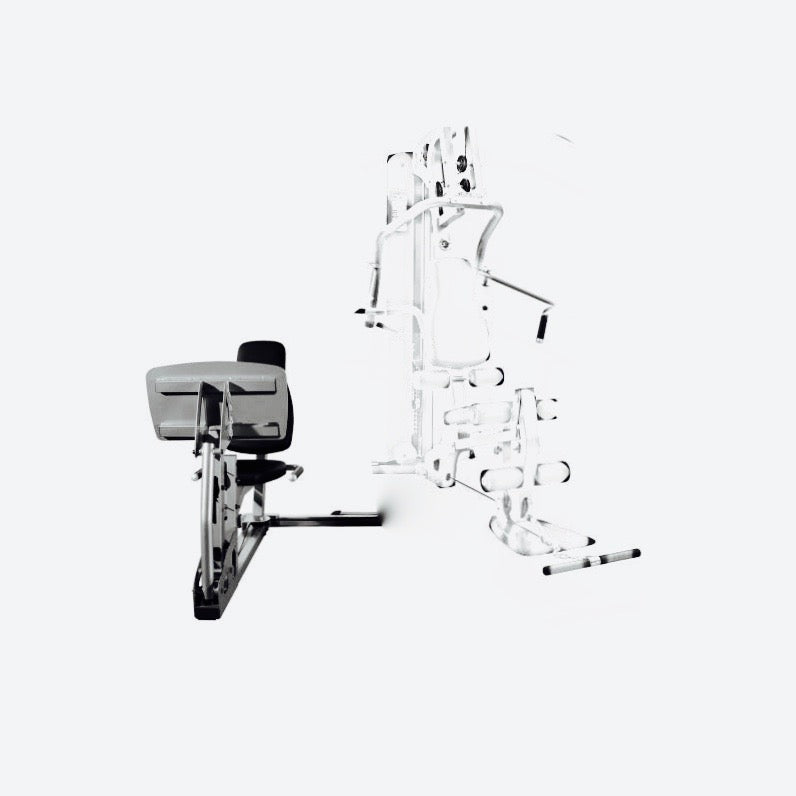 Yen Yoga & Fitness - G2 Leg Press