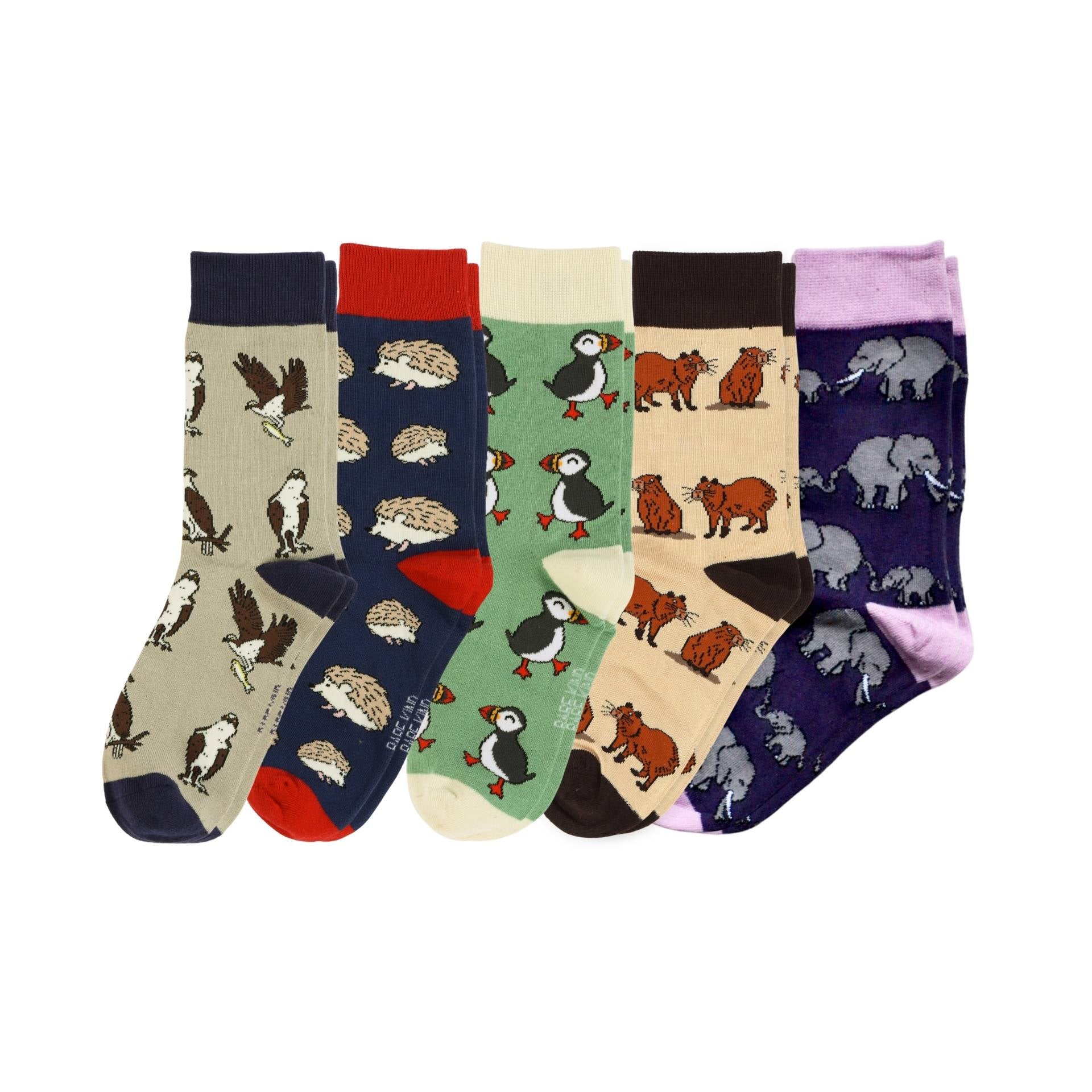 Pull Up Bar Doorframe - Bestsellers 5 Pack Bamboo Sock Set