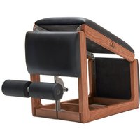 Tria Trainer-Tria Trainer Club - Yen Yoga & Fitness review and price