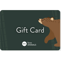 Bare Kind Gift Card (Gift Vouc - Pull Up Bar Doorframe review and price